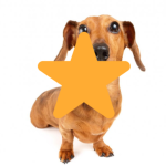 Mr Hood Stars