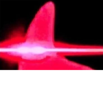 Thhe Gaming Nation Fan Group