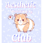 Aesthetic Guinea Pig Club