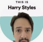 WE WORSHIP HARRY STYLES