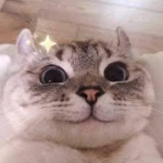The crusty friends !!