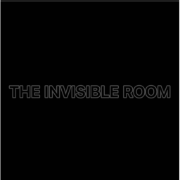 THE INVISIBLE ROOM