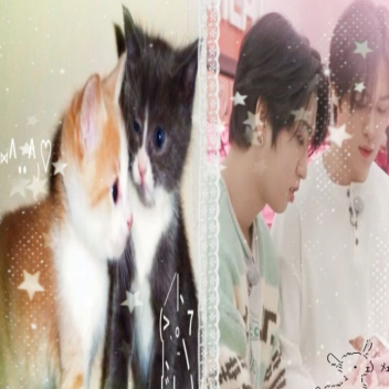 Minsung SKZ Obby
