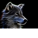 The BloodWolf Gang