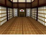 the dojo