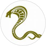 snake ####### for cool people