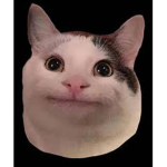 Charxl