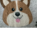 DogEDD