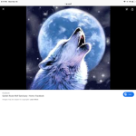 Midnight Luna’s Wolves