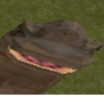 Xurumga