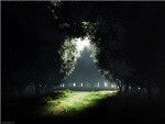 Arcani
