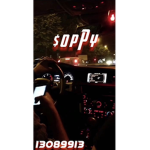 $ o p P y