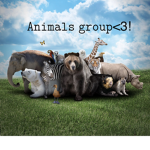 The animals bff! <3