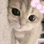 ~Mi Amor~
