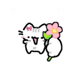 The Best Sanrio Club!