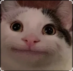 howdy_dowdyBoi club