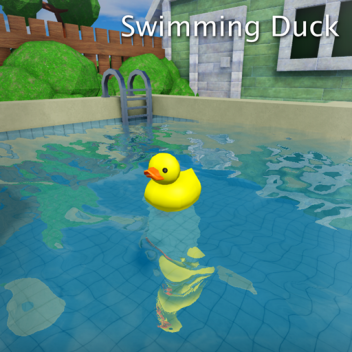 Swimming Duck