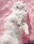 Cute lil pets