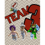 The Team 3 Fan Group
