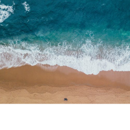 Sand land