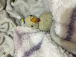 The chicky gangster