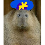 the cool capybara gang