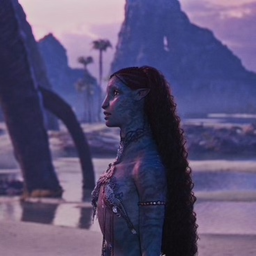 *:✧ 𝒯𝒽𝑒 𝓌𝒶𝓎