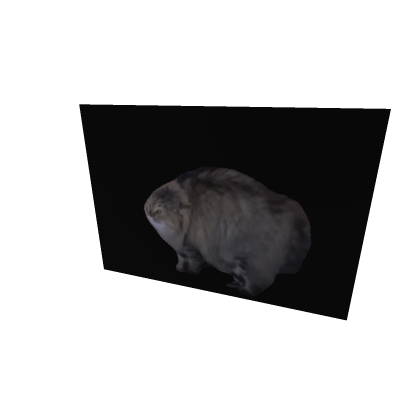 NONOCAT
