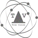 TrueVision LLC