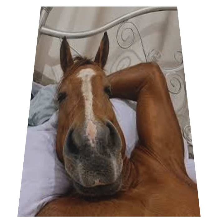 Chilling Horse Cape