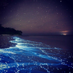 ~-Starpower-~