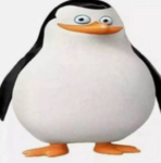 TurkSigmaBoys