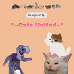 *~Cats United~*