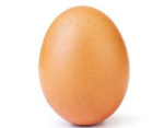 eggy’s egg group