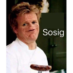 Sosig