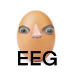 Ze eeg