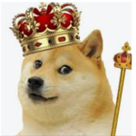 The Supreme Doge Council