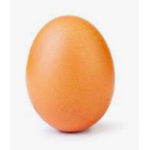 Society of Egg