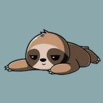 Sloth's Clothes