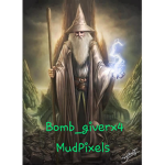 The Wizard Assassins