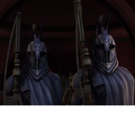 The Swag Guard