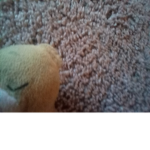 ITS SLOTH