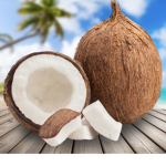 COCONUT SQUAD BOI!