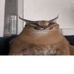 Floopa2117