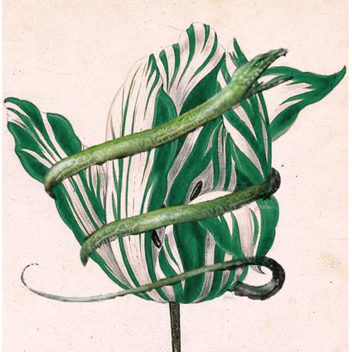 Life in a Medieval City 3