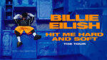 BILLIE EILISH PIRATE BAIRD O'CONNELL