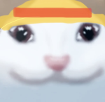 Popcat house