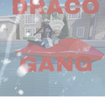 $$DRACO$$ $$GANG$$ AKA LV PAC