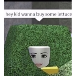 Roblox dweebs