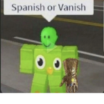 • V̸i̸b̸e̸s̸ •
